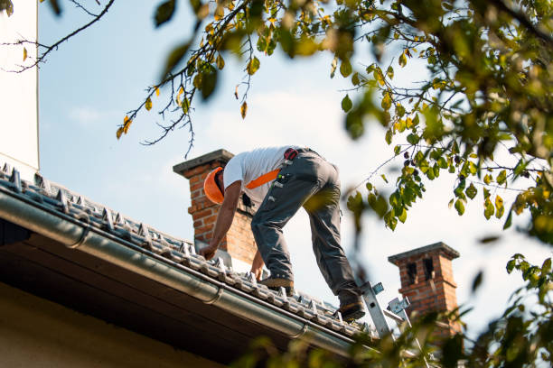 Best Roof Waterproofing Services  in Murphy, MO