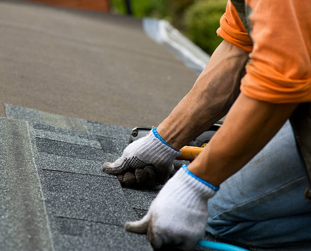 Roof Gutter Cleaning in Murphy, MO